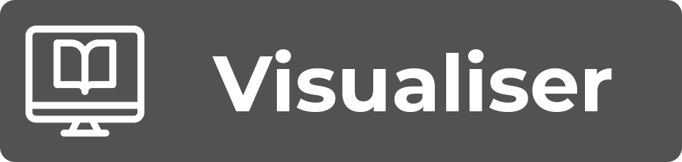 Visualiser