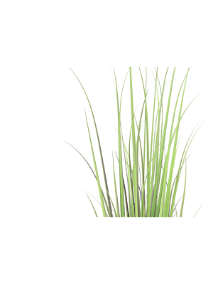 Paquet d'herbes 121cm - Vert