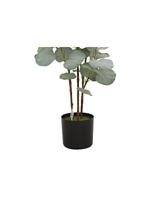 Feuille d'eucalyptus avec pot 121cm - Vert 