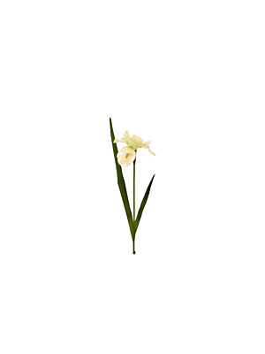 Fleur IRIS 95cm - Blanc