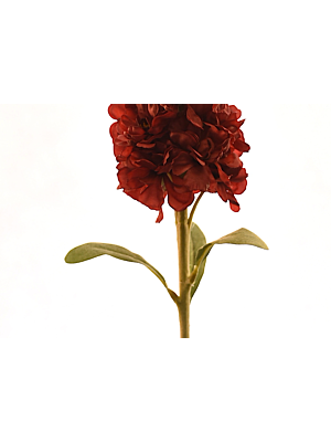 Fleur Delphinium 80cm - Rouge