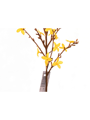 Fleur JASMIN 73cm - Jaune