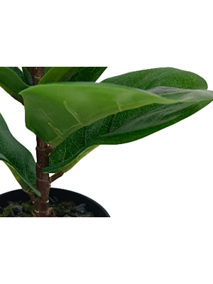 Plante Artificielle 22x27cm - Vert