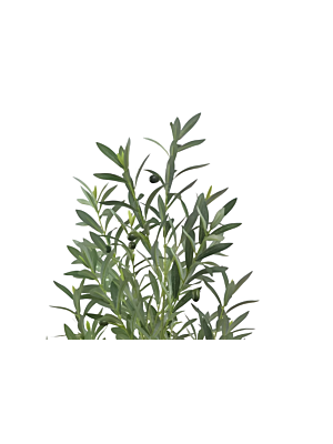 Plante Artificielle BF2214079 140cm  - Vert