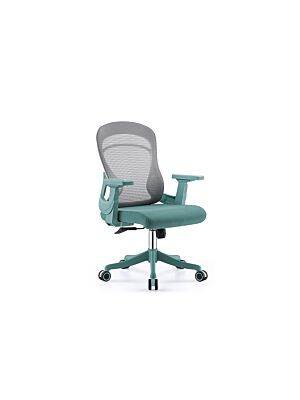 Fauteuil Sénateur ERGO COMFY - Vert / Blanc