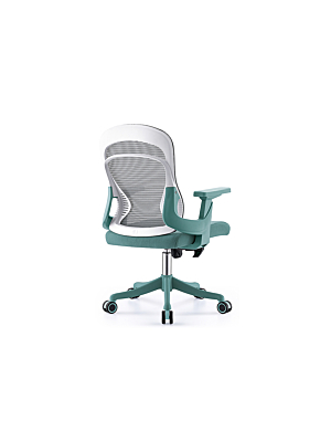 Fauteuil Sénateur ERGO COMFY