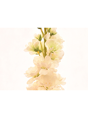 Fleur Delphinium 80cm - Blanc