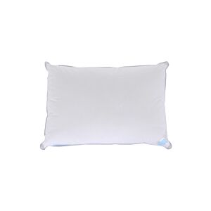 Oreiller COUVRE WELL SENSATION DUVET- Blanc Oreillers