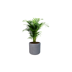 Pot En Fibre 30cm - Gris