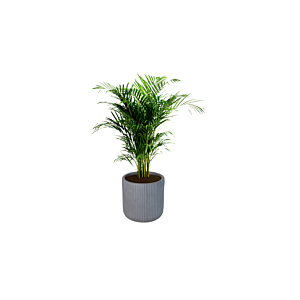 Pot En Fibre 25cm - Gris