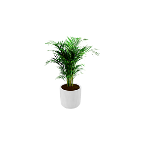 Pot En Fibre 25cm - Blanc