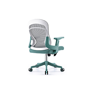 Fauteuil Sénateur ERGO COMFY