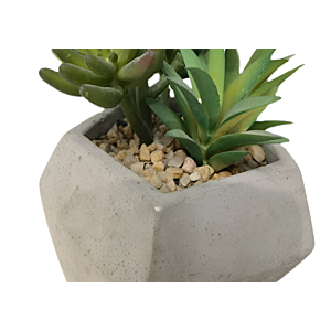 Plante ARTIFICIELLE AVEC POT EN CIMENT 11,5x11,5x16cm - Blanc