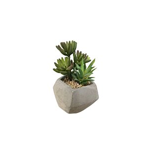 Plante ARTIFICIELLE AVEC POT EN CIMENT 11,5x11,5x16cm - Blanc Plantes et fleurs artificielles