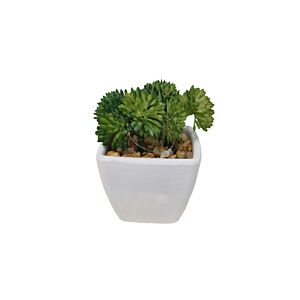 Plante ARTIFICIELLE AVEC POT EN MELAMINE 6,5x6x9cm - Blanc Plantes et fleurs artificielles