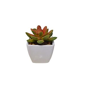 Plante ARTIFICIELLE AVEC POT EN MELAMINE 7x7x8 - Blanc Plantes et fleurs artificielles