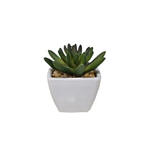 Plante ARTIFICIELLE AVEC POT EN MELAMINE 7,5x6x11,5cm - Blanc Plantes et fleurs artificielles