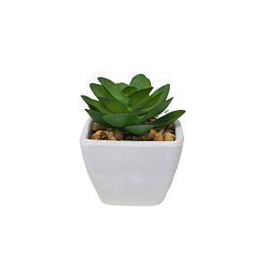 Plante ARTIFICIELLE AVEC POT EN MELAMINE 6x6x7,5cm - Blanc Plantes et fleurs artificielles