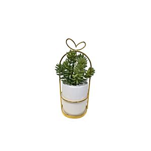 Plante ARTIFICIELLE AVEC POT EN CERAMIC 9,5x9,5x21cm - Blanc Plantes et fleurs artificielles