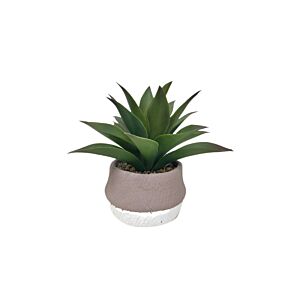 Plante ARTIFICIELLE AVEC POT EN CIMENT 22x22x24cm - Blanc Plantes et fleurs artificielles